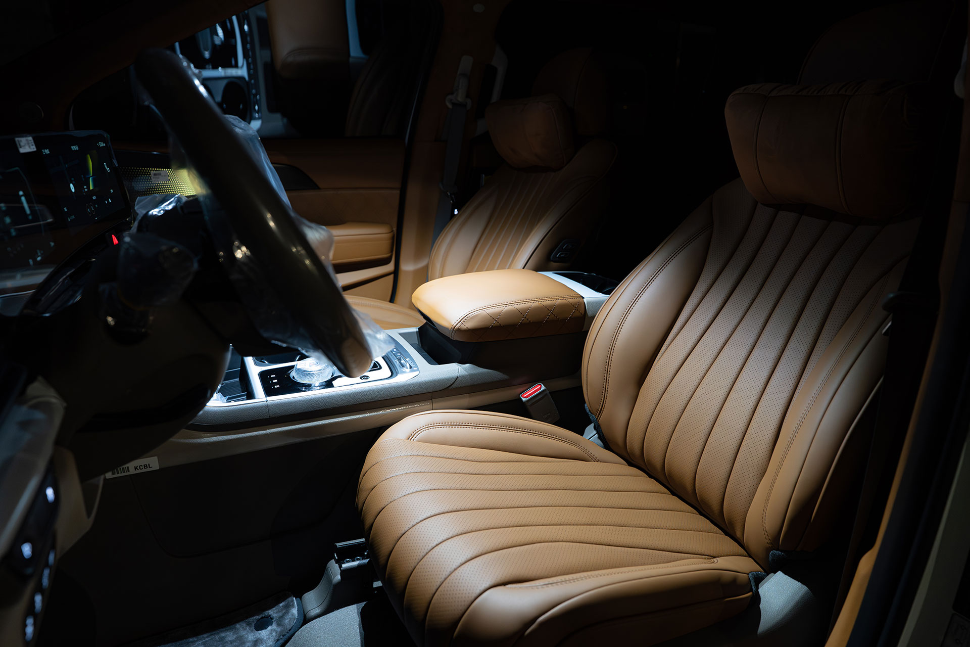 CN카니발 하이리무진