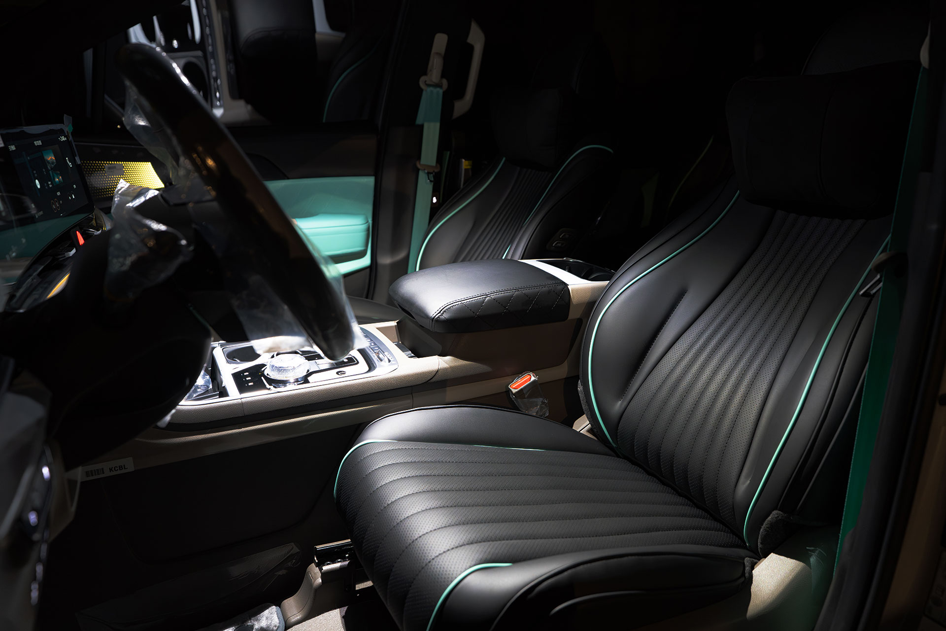 CN카니발 하이리무진