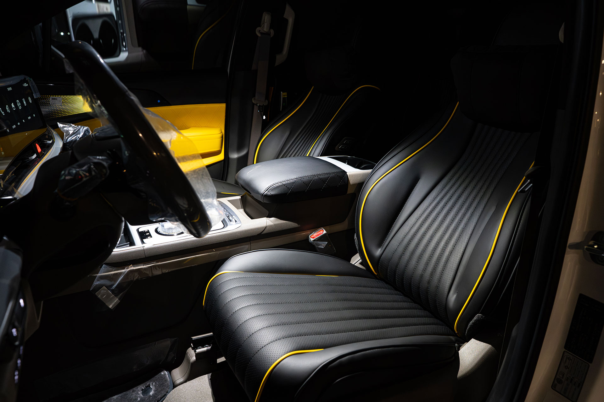 CN카니발 하이리무진