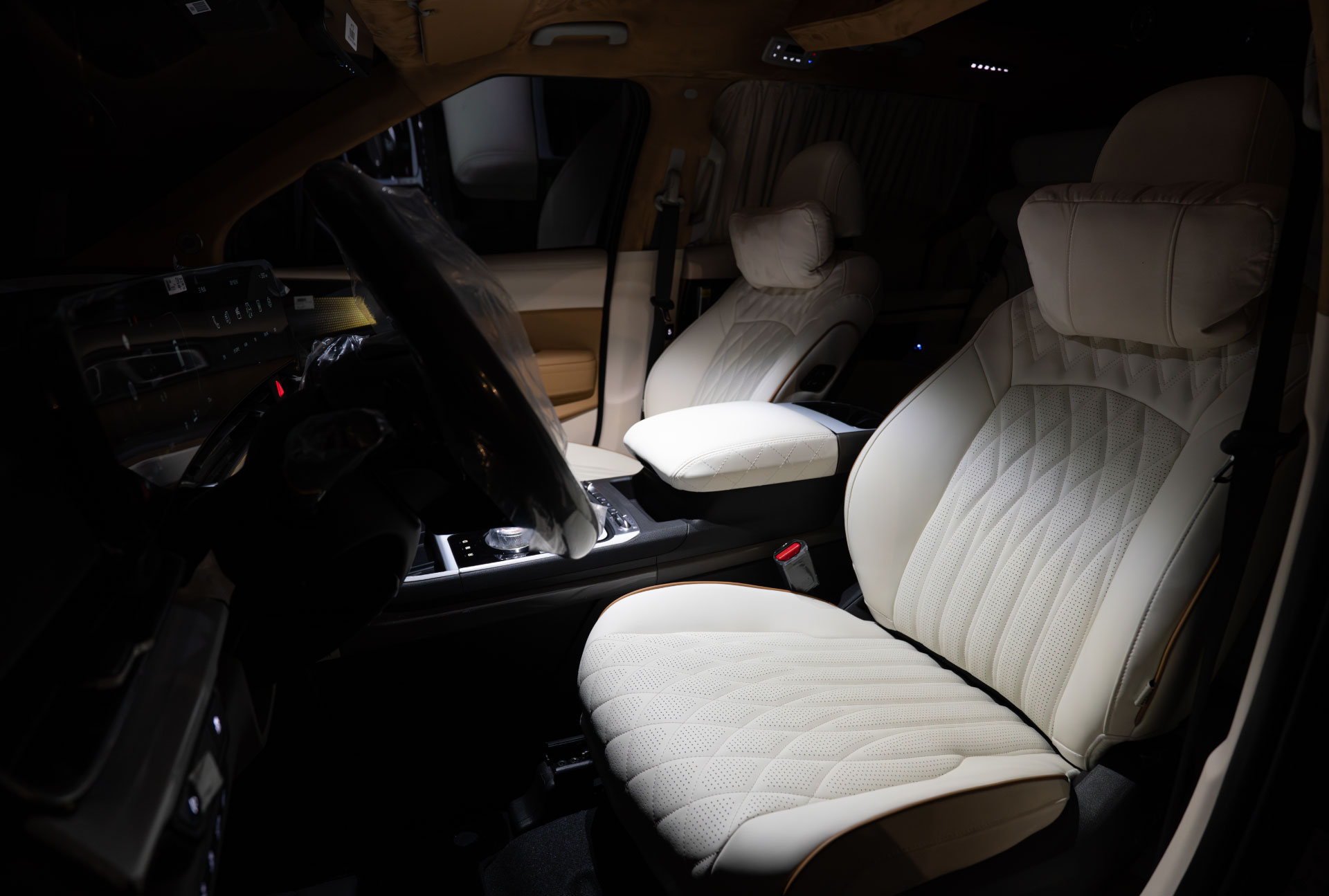 CN카니발 하이리무진