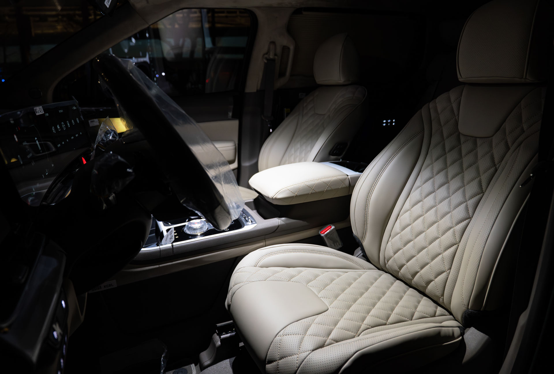 CN카니발 하이리무진