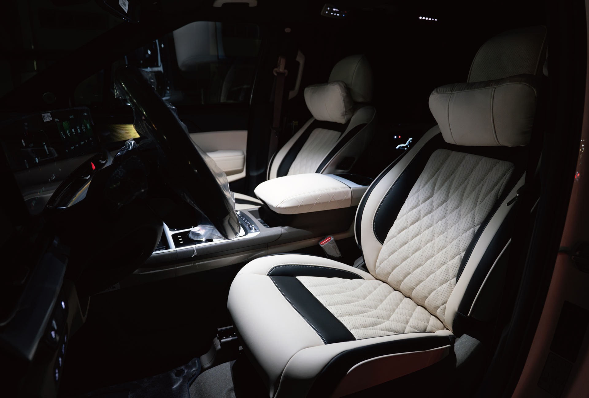 CN카니발 하이리무진