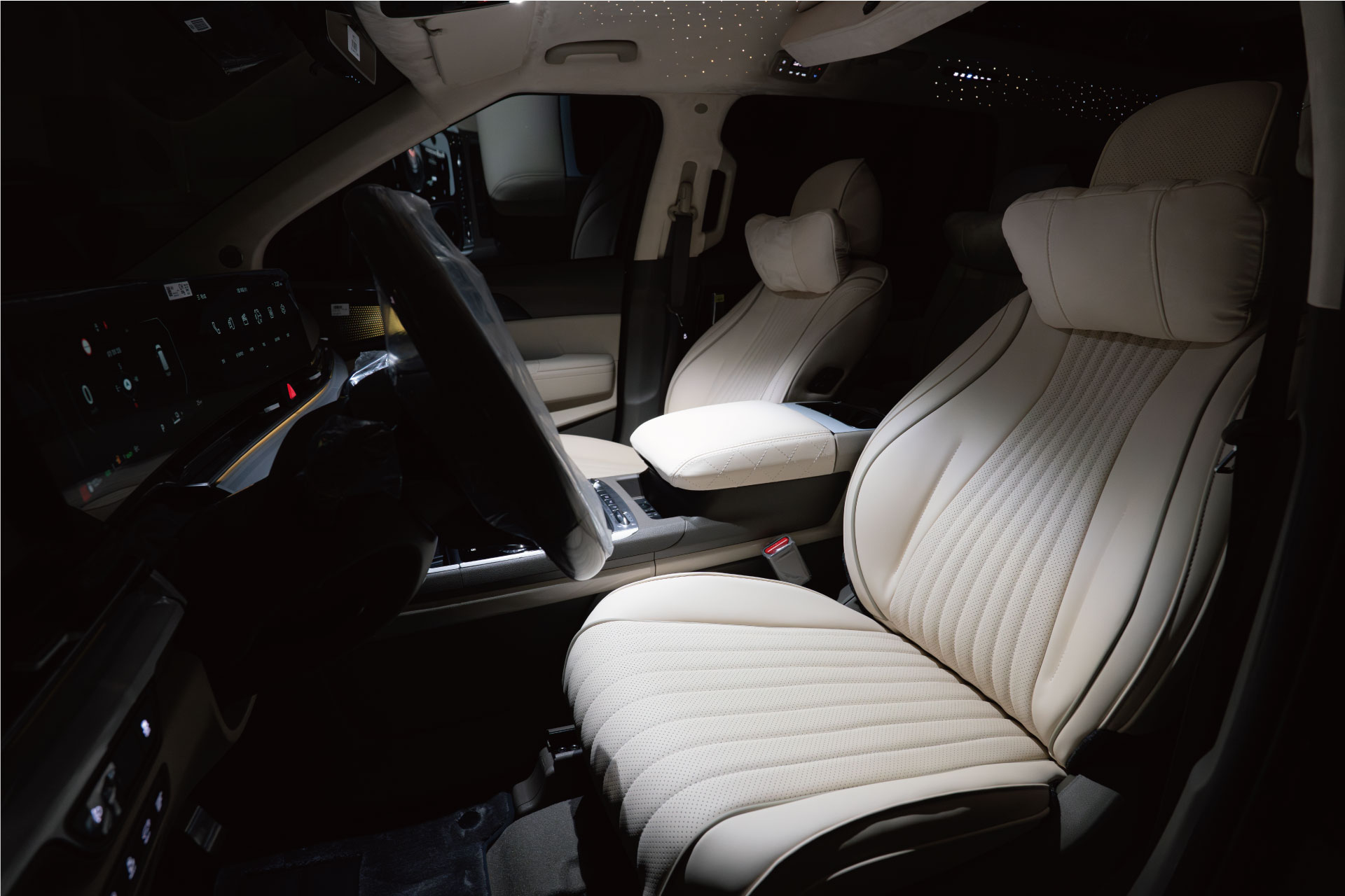 CN카니발 하이리무진