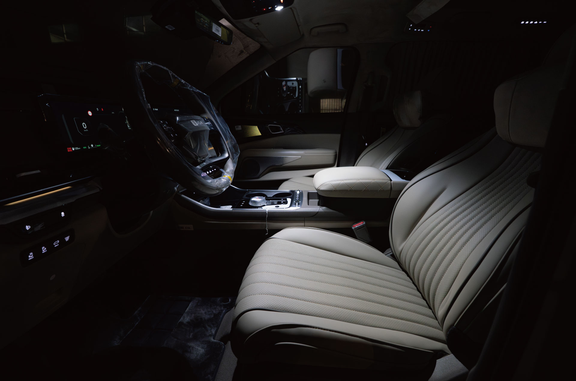 CN카니발 하이리무진