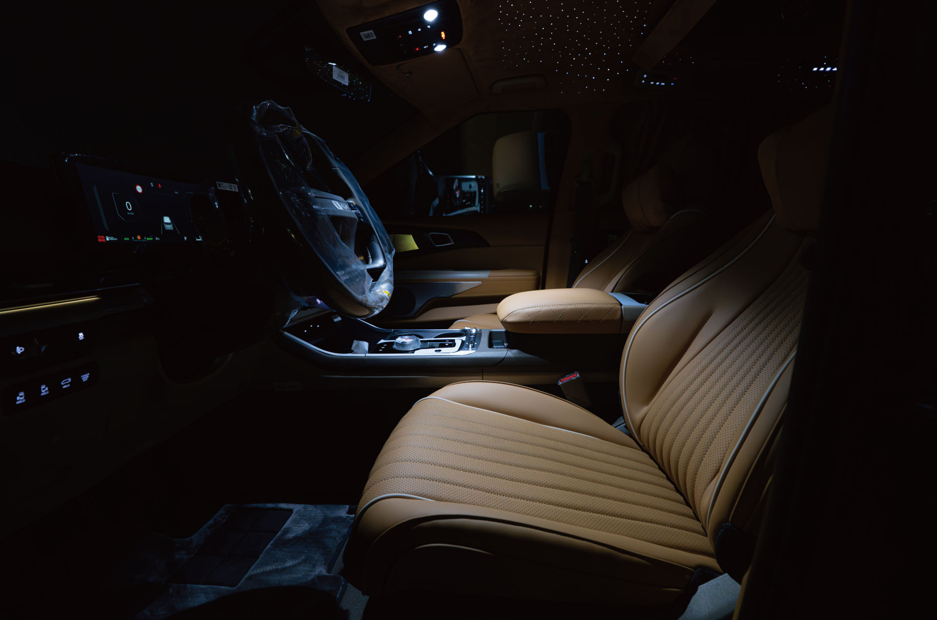 CN카니발 하이리무진