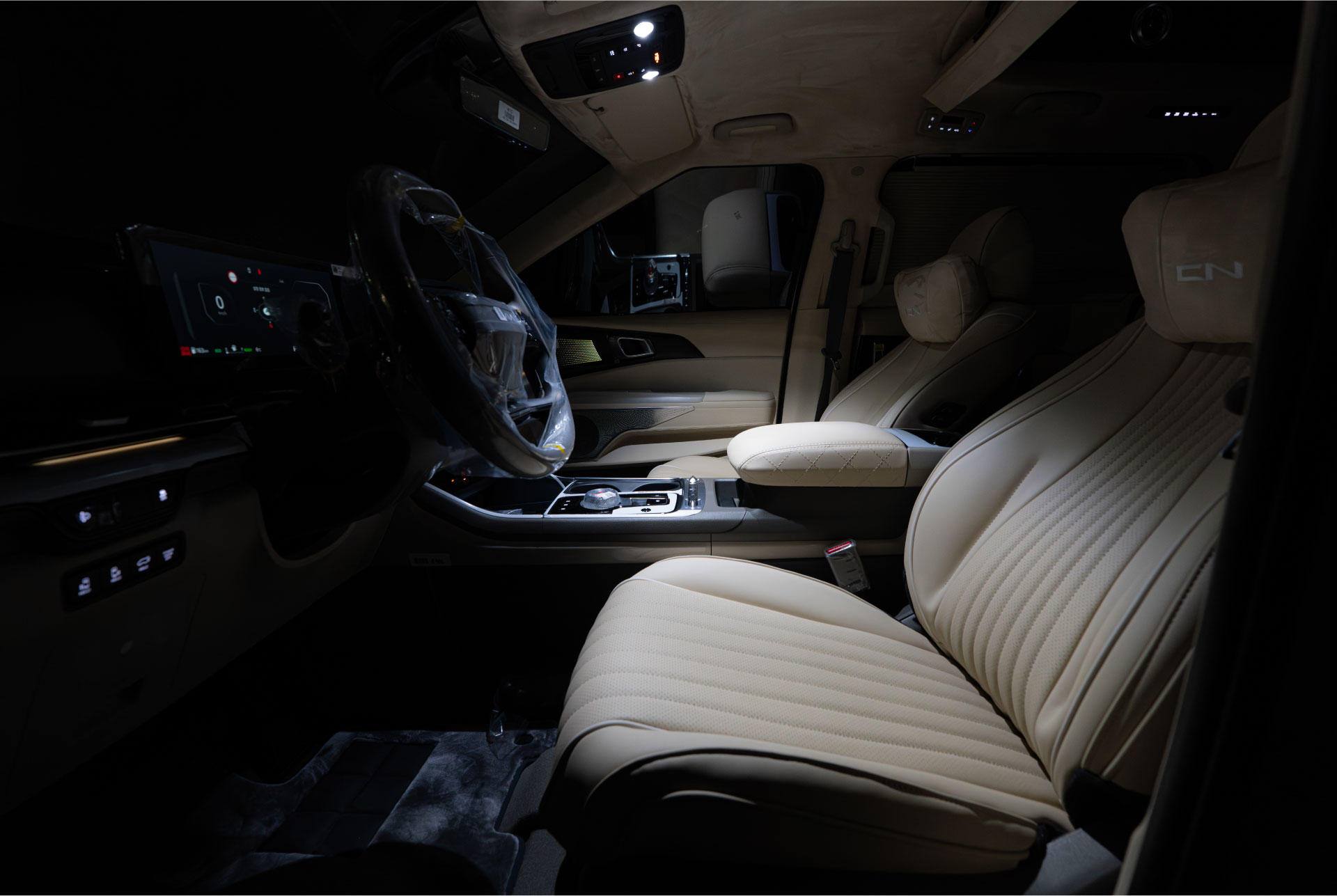 CN카니발 하이리무진