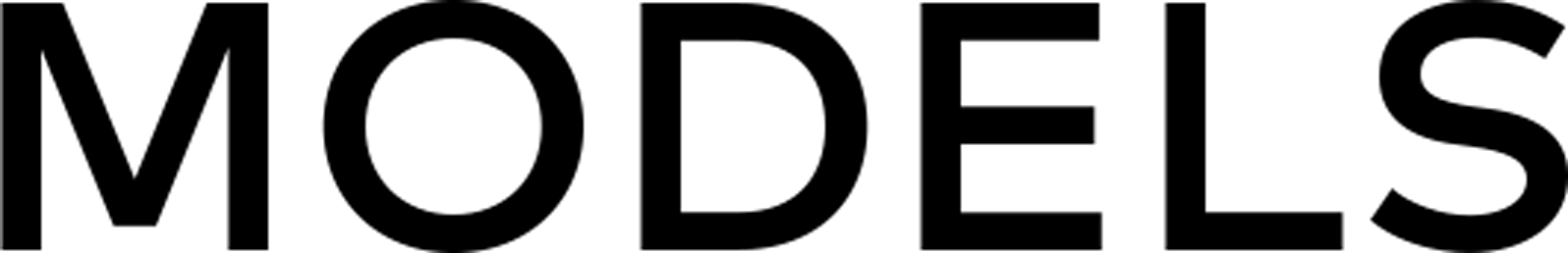 모델 타이틀