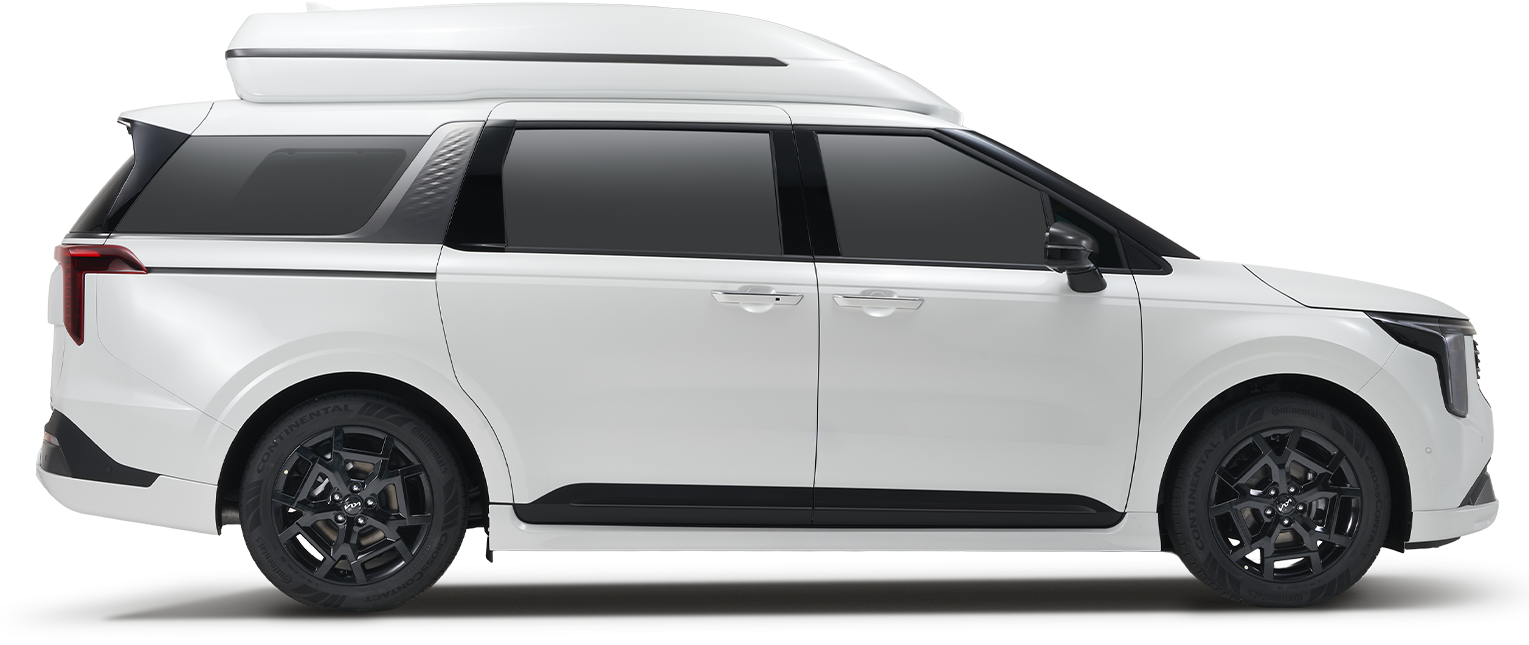 반테일러 이미지